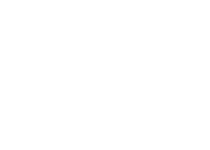 Intellyzen