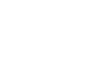 Webonise ltd
