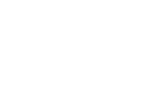 Persistent Systems