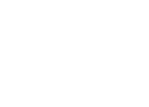 Travel Leaders
