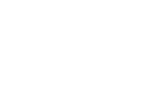 Zs Associates