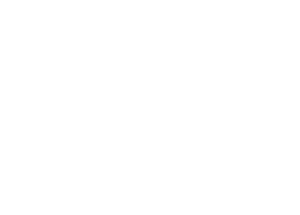 Savy software solutions